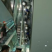 Kölner Narrenzunft (17.01.10)